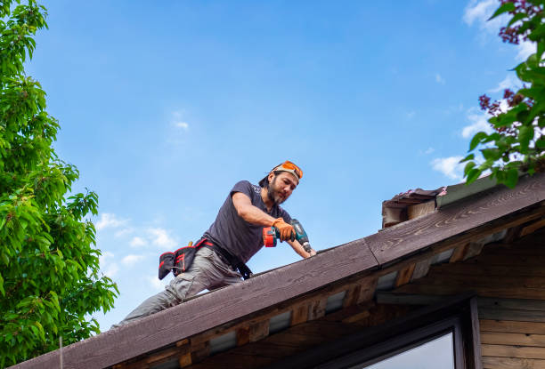 Best Sheet Metal Roofing  in Baraga, MI