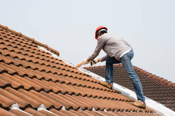 Best Roof Maintenance and Cleaning  in Baraga, MI