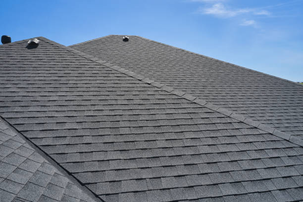 Best Solar Panel Roofing Installation  in Baraga, MI